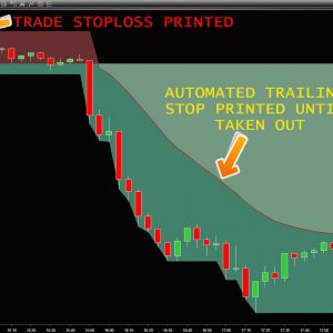 NinjaTrader xBrat Roller Coaster Indicator
