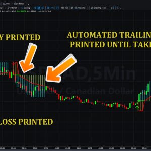 xBrat Roller Coaster Indicator the trade station platform