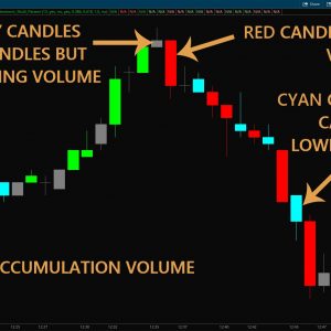 Volume Behavior For Thinkorswim