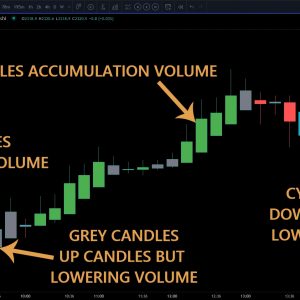 Volume Behavior For TradingView