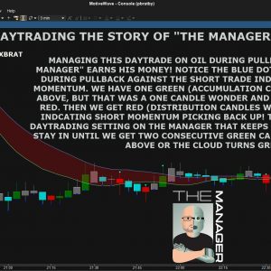 The Manager Motivewave